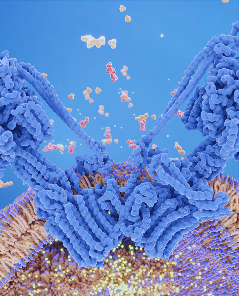 タンパク質発現サービス、タンパク質精製実験を展示