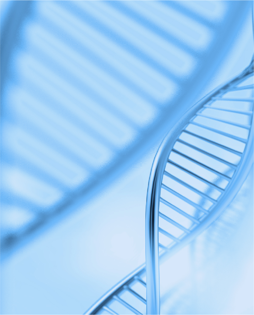 カスタマイズサービスのケース、実験データと結果を展示