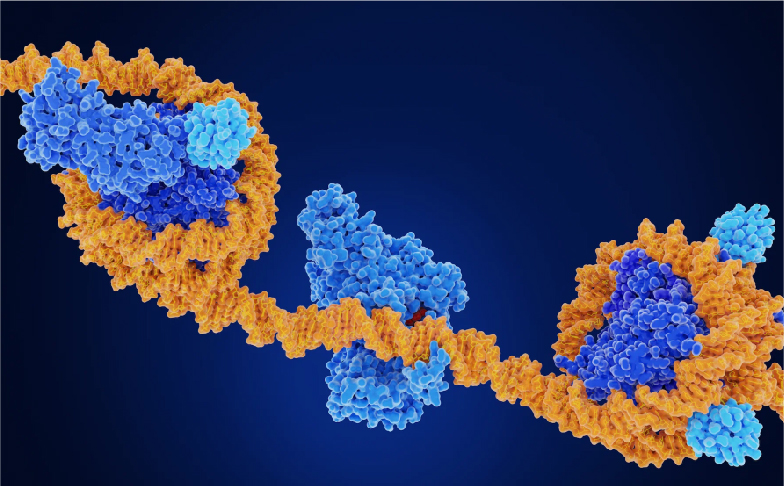 エピジェネティクス