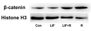34555602 ET1701-64.jpg
