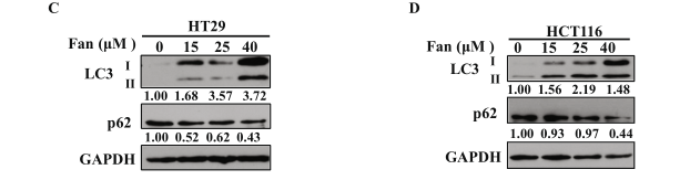 huabio_1082_202108180616038273.png