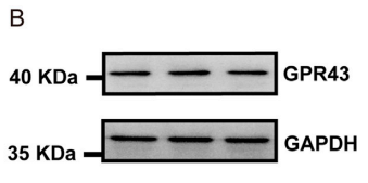 huabio_2602_202301060646199555.png