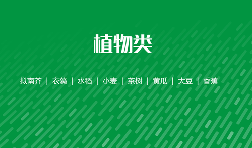 抗体定制服务：植物类封面.png