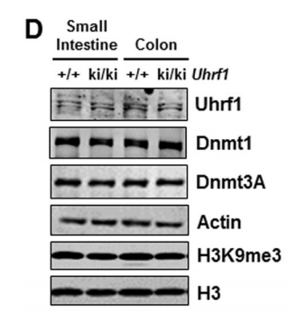 huabio_1260_202109030824555009.png