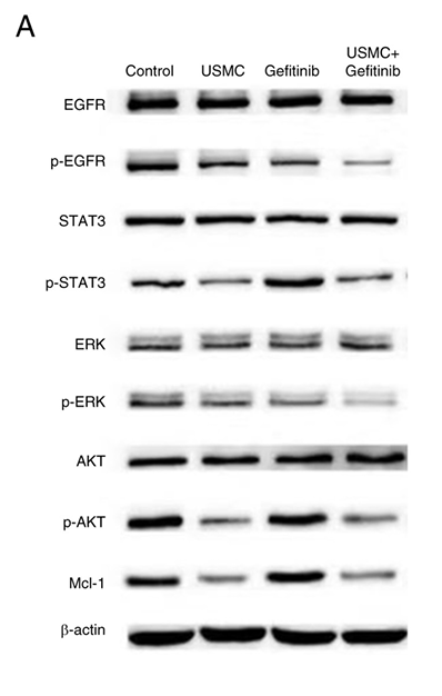 Chen Jianghong,et al-3.png