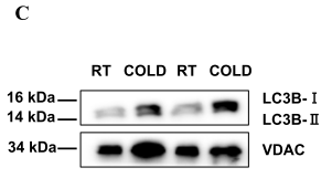 huabio_2697_202303300230553458.png