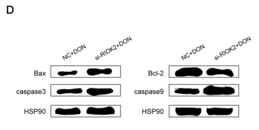 huabio_2085_202211240232045935.png