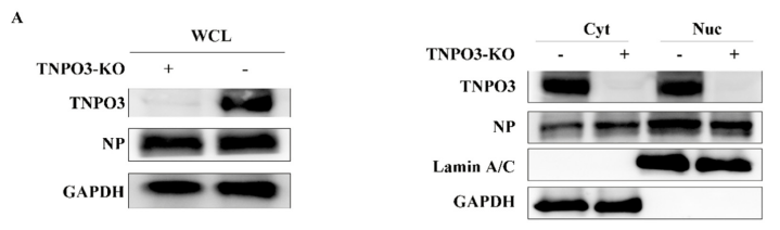 huabio_1843_202205050900387913.png