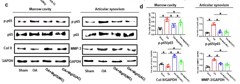 36045373 ET1601-4.png