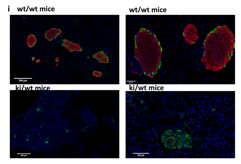 36436799 ET1601-12.png