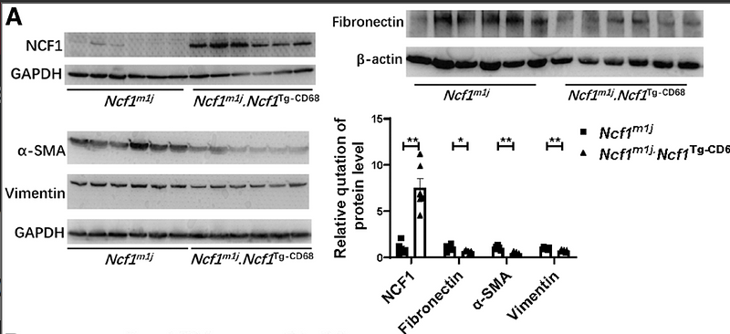 37392014 HA721174.png