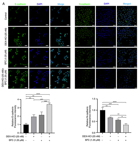 Li Weijing,et al-8.png