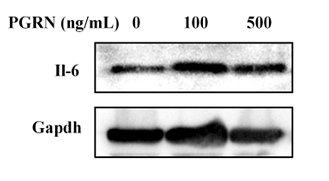 35338960 EM1701-45.png