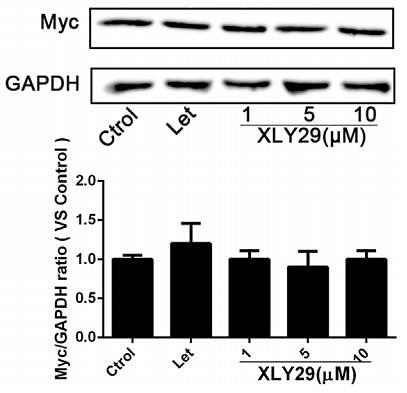 32360836 ET1601-4.jpg