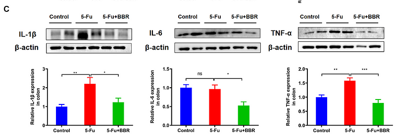 Wu Changhong,et al-1.png