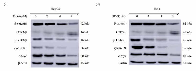 Zhou Dongdong,et al-1.png