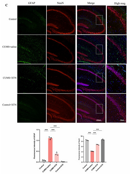 Wang Xiaohong,et al-5.png