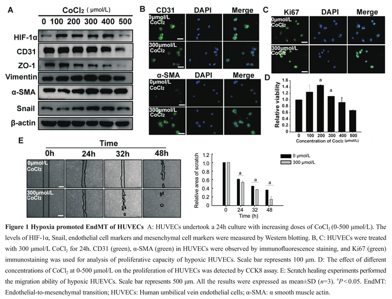 35601164 ET1607-43.png