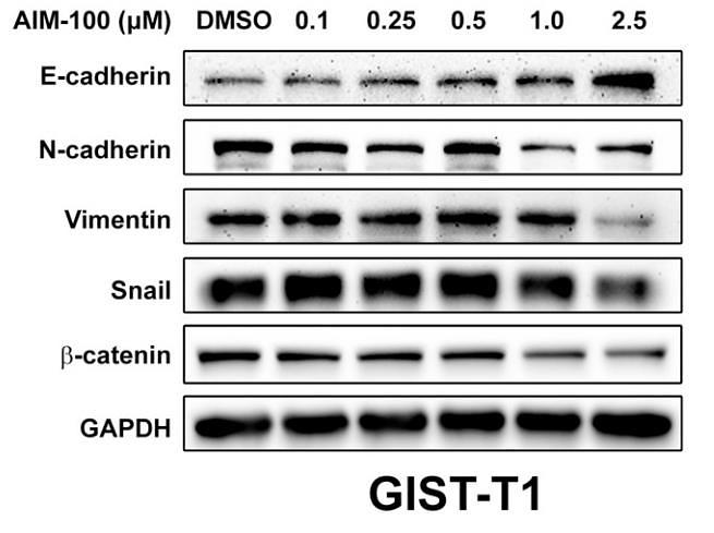 36921738 ET1601-5.jpg