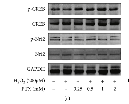 34257818 ET7107-93.png