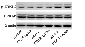 31026057 ET1601-29.png