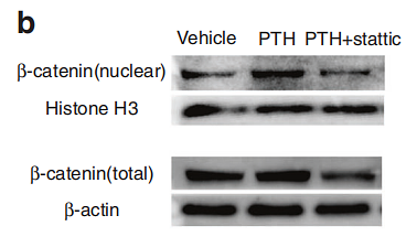 33380723 ET1601-5.png