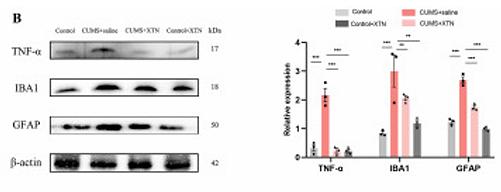 Wang Xiaohong,et al-3.png