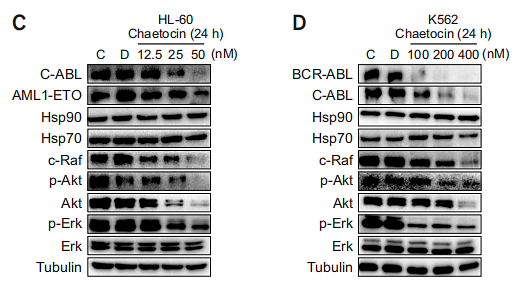 33162400 ET1602-4.png