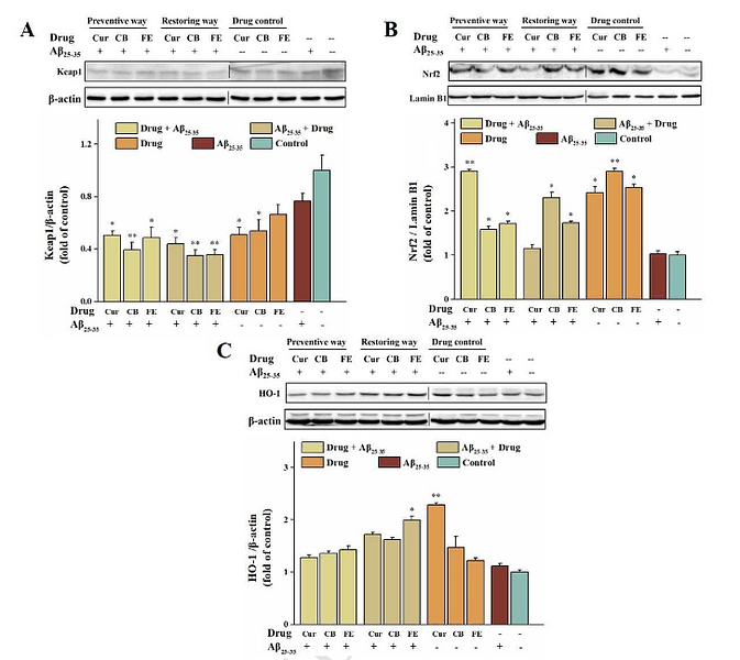 30946834 EM21002.png