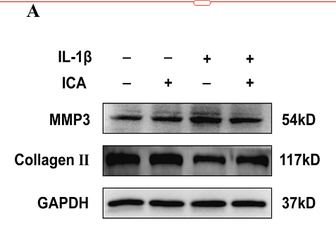 36253872 ET1601-4.png