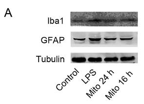 31022424 ET1705-78.png