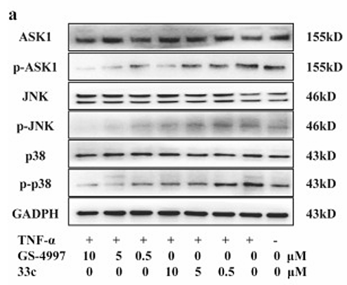 He Mengni,et al-3.png
