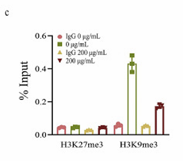 Wang Mengruo,et al-1.png