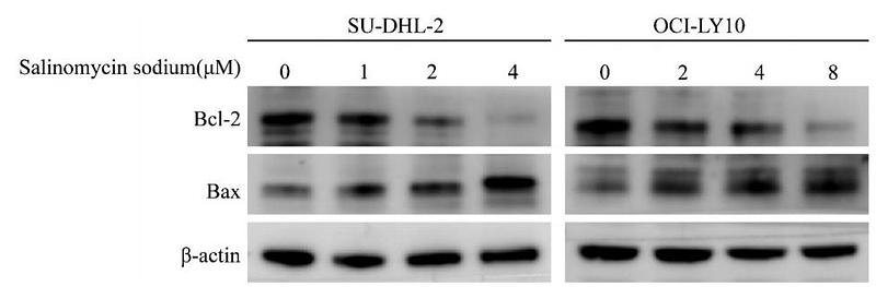 37092573 ET1603-34.jpg