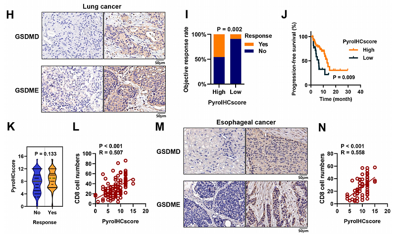 36244669 ET1606-31.png