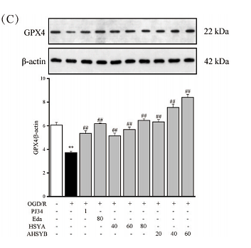 34923102 ER1803-15.png