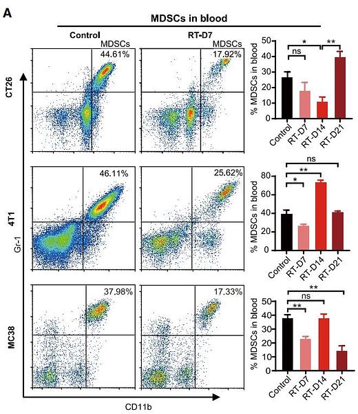 37073129 EM1701-42.jpg