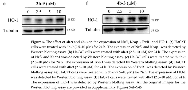 35453471 ET1601-4.png