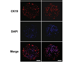 37273977 ET1601-6.png