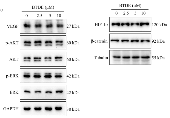 34822512 ET1601-4.png