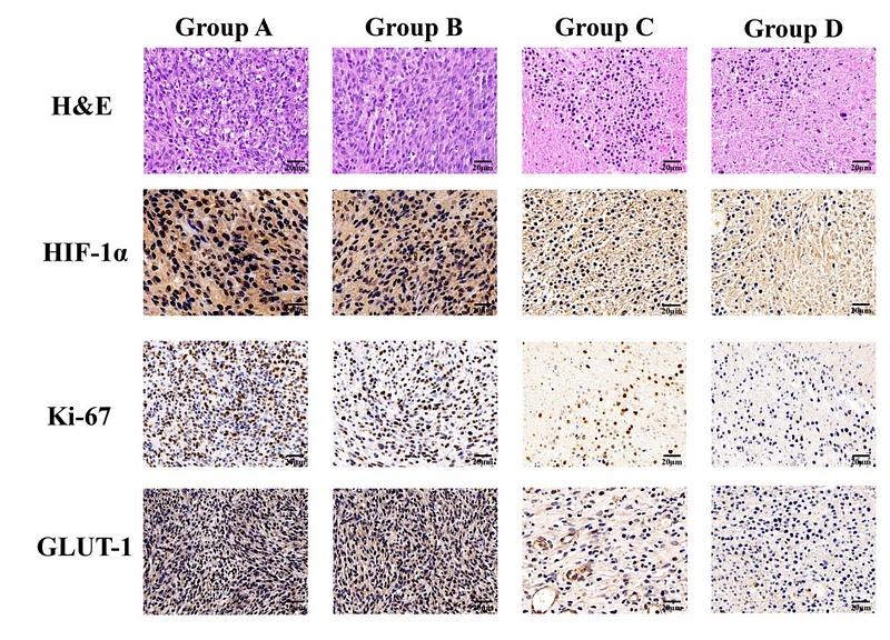 36565309 HA721115.png