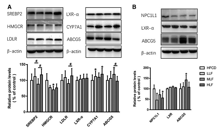 31460816 EM21002.png