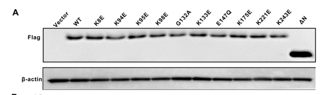 35481780 EM21002.png