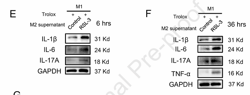 Feng Zhuan,et al-4.png