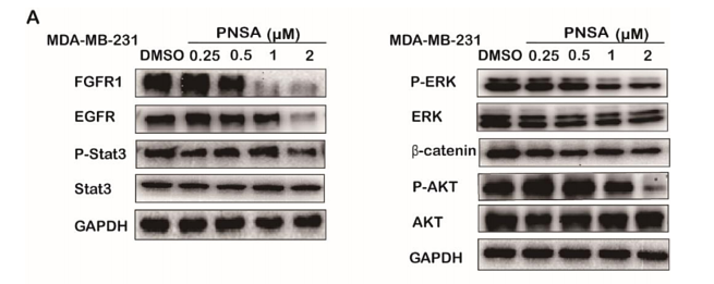 33672529 EM21002.png