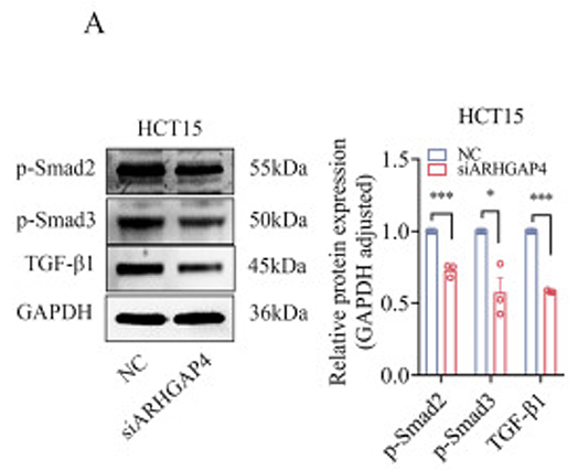 Jiang Shuanghong,et al-3.png