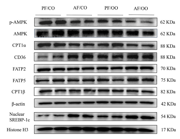 36655918 EM30605.png