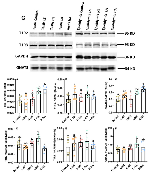 34422887 ET1601-4.png