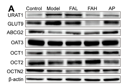 36722874 EM21002.png