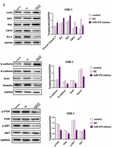 34626803 ET1607-75.png